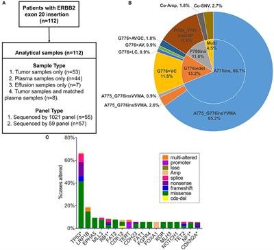 Co-Occurring Alterations of ERBB2 Exon 20 Insertion in Non-Small Cell Lung Cancer (NSCLC) and the Potential Indicator of Response to Afatinib